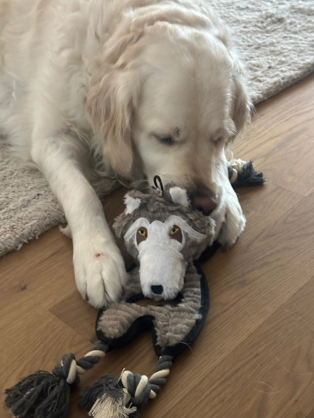 Flat Tugger Wolf Dog Toy