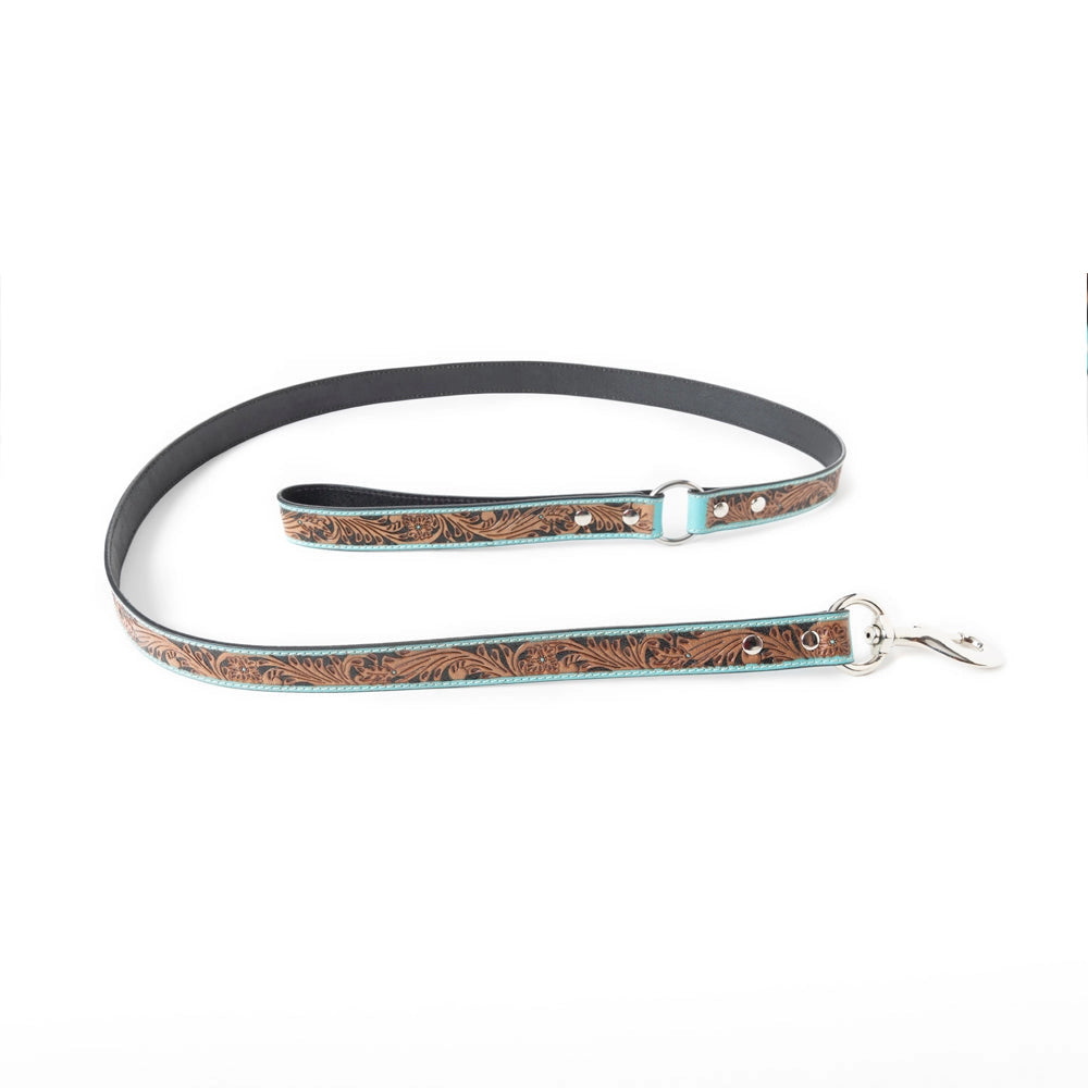 Luna Beam Dog Leash in Turquoise