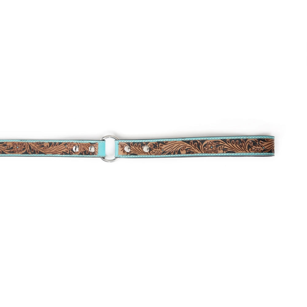Luna Beam Dog Leash in Turquoise