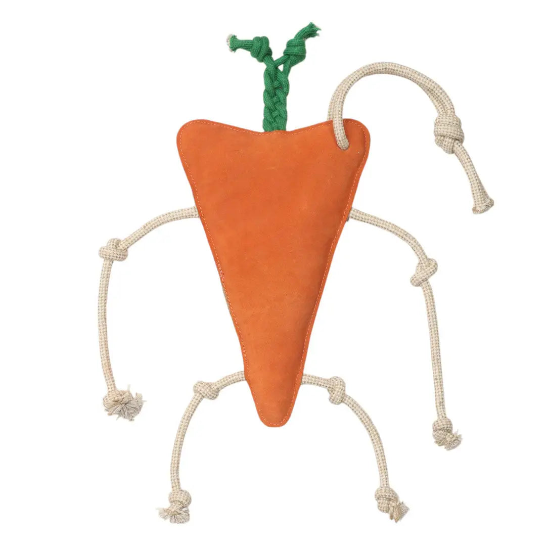 Carrot Horse Toy