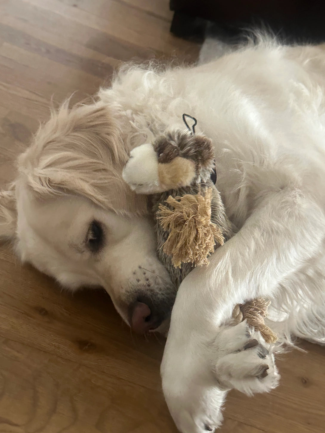 Roper Prairie Gopher Dog Toy