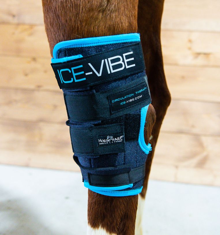 Ice-Vibe® Hock Wrap